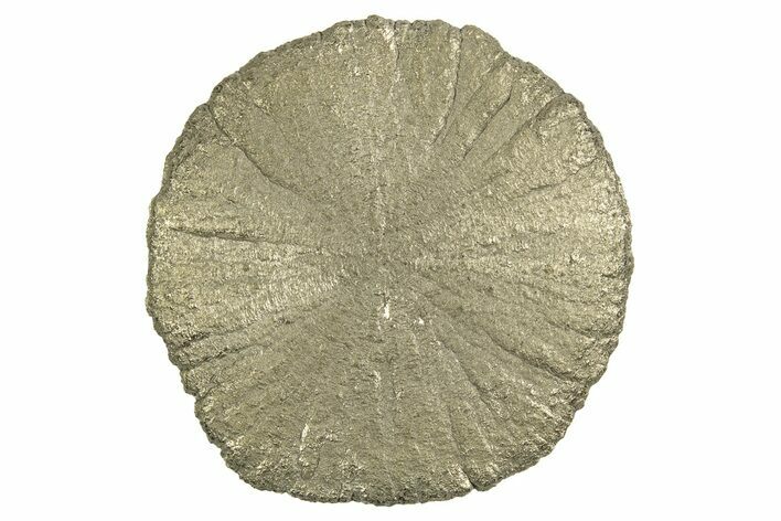 Radiant Pyrite Sun - Sparta, Illinois #342552